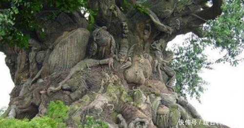 上古奇书《山海经》,记载通天神树,与北欧神话“世界树”一致_【快资讯】