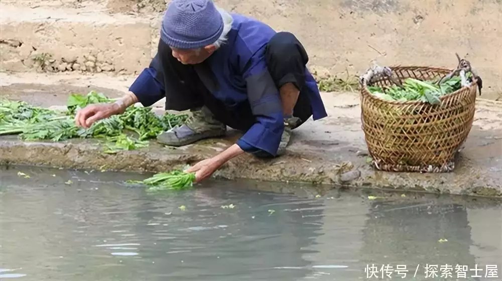 花开堪折直须折莫待无花空折枝全诗（花开堪折直须折莫待无花空折枝作者） 第1张