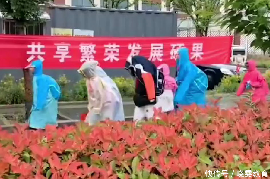 小学雨天不让打伞进校?校方解释“为了安全”,网友态度一反常态_【快资讯】