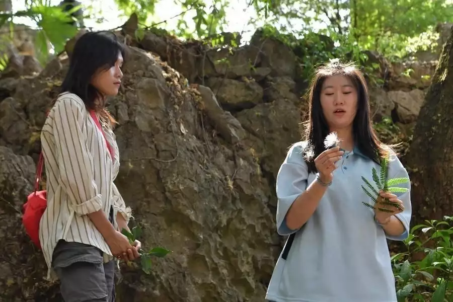 云南大学生景区纠错，获赠旅游会员卡18岁黄渤忍了，18岁鹿晗也忍了，看到18岁雷佳音我忍不了了