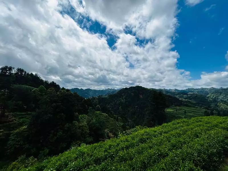 “乡村振兴·潇湘茶行”海峡两岸媒体团走进湖南保靖品茶话发展看看太平天国的“避讳”制度:严格的等级制度,奇葩的特殊制度 “乡村振兴·潇湘茶行”海峡两岸媒体团走进湖南保靖品茶话发展看看太平天国的“避讳”制度:严格的等级制度,奇葩的特殊制度