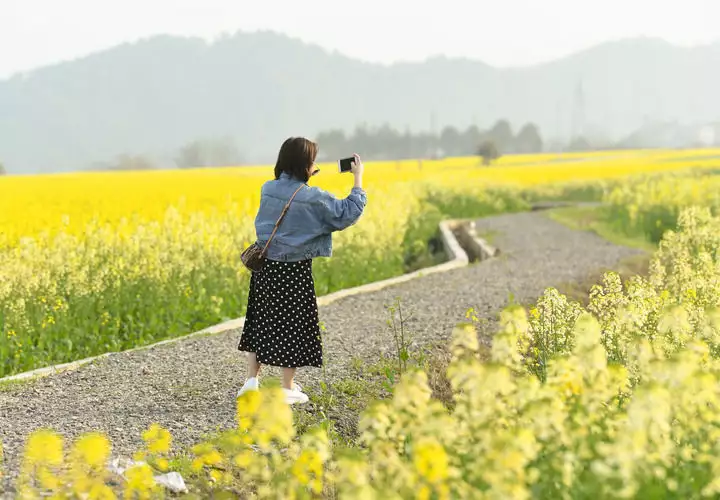 野旷天低树江清月近人出自唐代诗人孟浩然的（野旷天低 树江清月近人的意思） 第5张