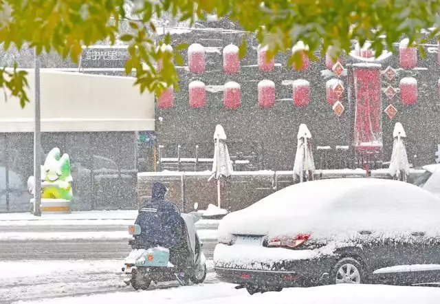 记者直击东北暴雪 因雪太大没去成（东北特大暴雪视频大全） 第12张