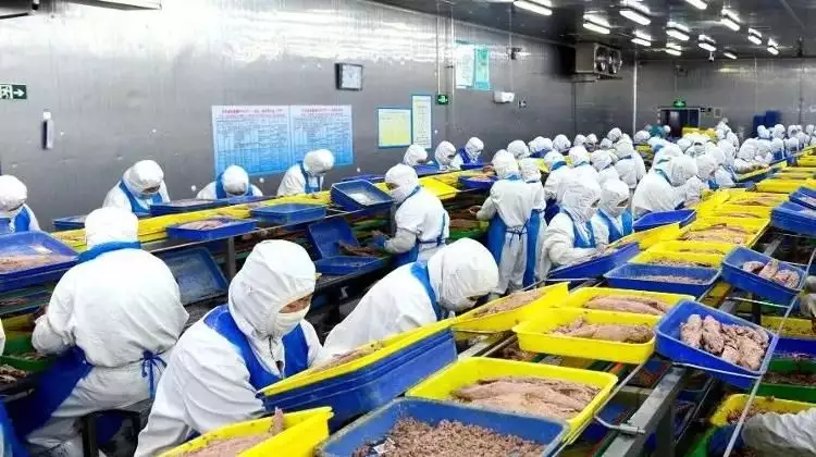 荣成：一条金枪鱼游出一条产业链英国未成年玩虚拟游戏被多人“电子性侵”！网友：现实里都没管