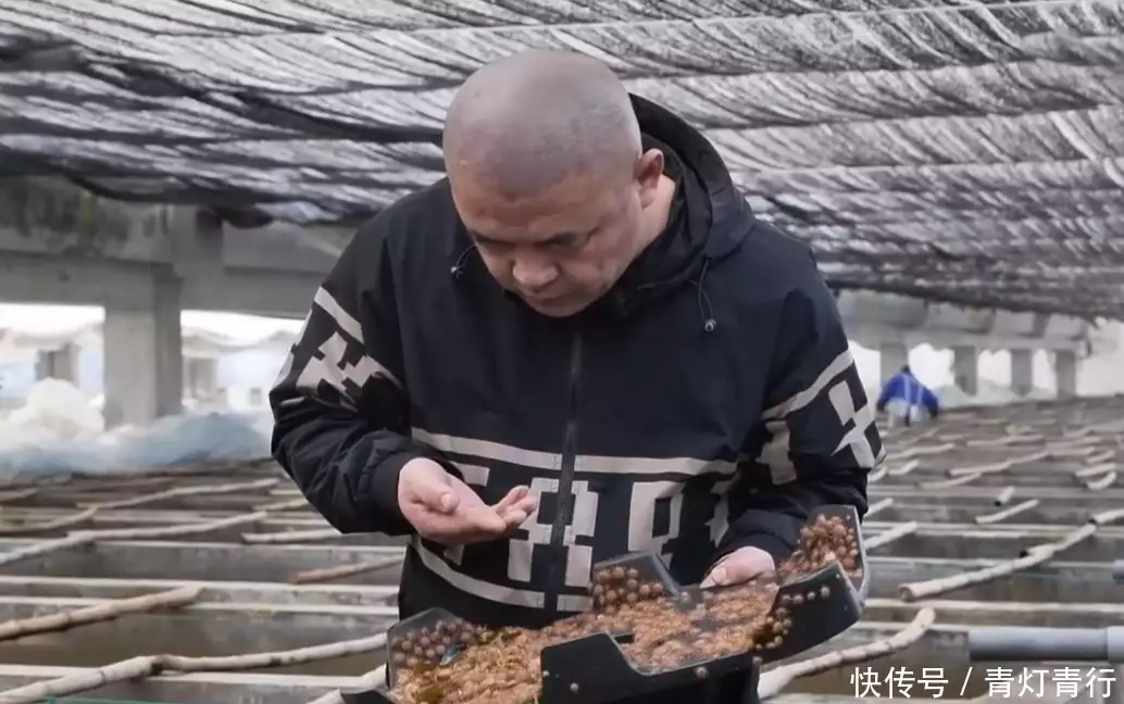 2017年,男子将角蕨石头扔进大海,如今每年坐享上千万“吃播四巨头”现状:2年没俩,尼德直播难忍、胖猴仔为活命减肥(图19) 2017年,男子将角蕨石头扔进大海,如今每年坐享上千万“吃播四巨头”现状:2年没俩,尼德直播难忍、胖猴仔为活命减肥(图19)