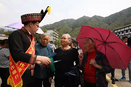 杜鹃花（西藏杜鹃花开花时间） 第3张