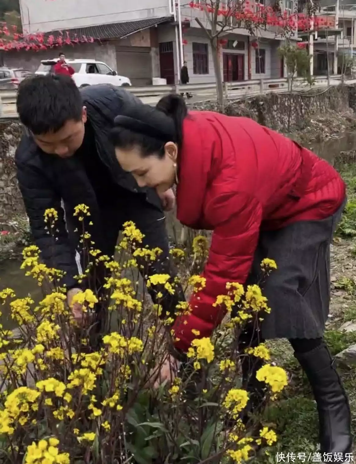 红菜苔（红菜苔种子要浸泡吗） 第5张