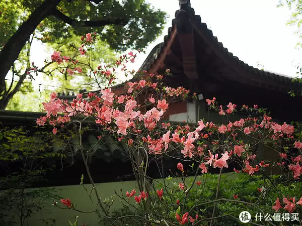 说走就走的一家三口杭州苏州六日游记（上：杭州篇）
