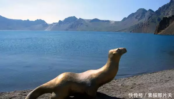 世间未知生物_未知生物传说_未知生物电影