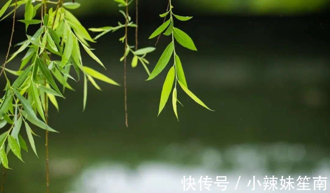 新春偷向柳梢归_【快资讯】