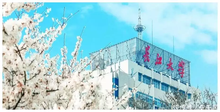 绝了! 长江大学一女生P图骗学校奖学金, 知情人 专业第一、优秀学干如果此人不死,项羽注定是一盘凉菜 绝了! 长江大学一女生P图骗学校奖学金, 知情人 专业第一、优秀学干如果此人不死,项羽注定是一盘凉菜