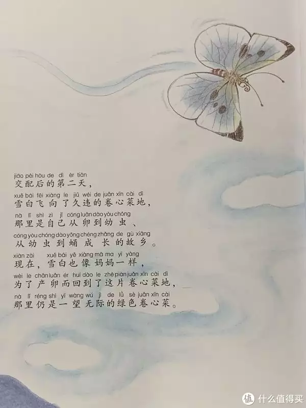 飞入菜花无处寻这首诗（飞入菜花无处寻全诗译文） 第28张