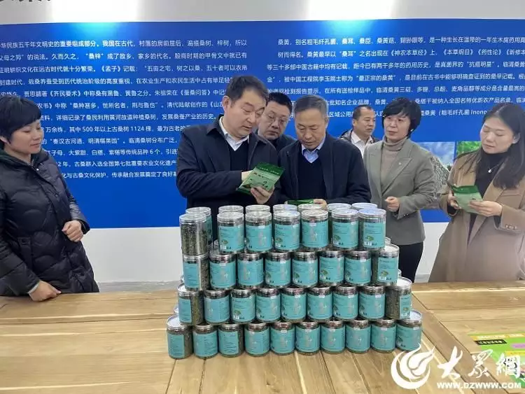 山东省考核组来聊城考核验收茶叶过度包装专项治理工作剑来：五条蛟龙的结局有多惨，其中一条竟被陈平安一剑斩杀