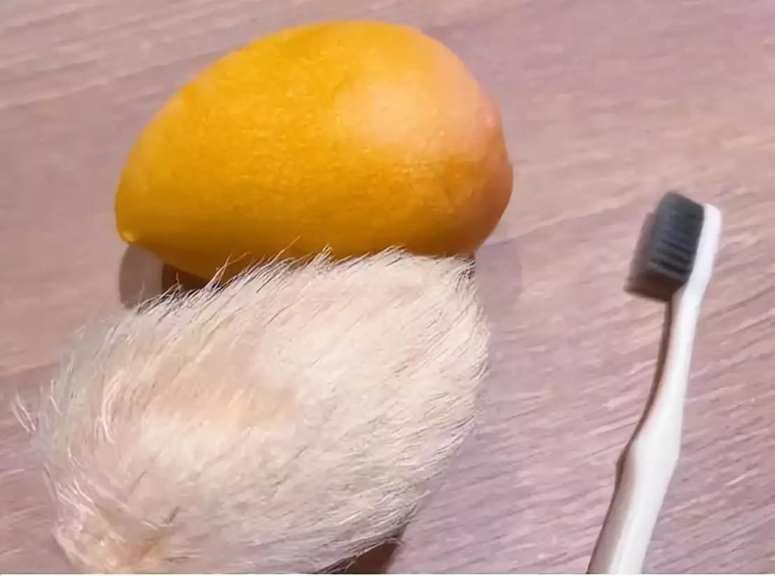 速看(芒果核的寓意)芒果核有什么用途,年轻人给芒果核梳毛被指不务正业,这种精神寄托合适吗?张子枫未修生图流出,被网友公开批评:她的胸碍了谁的“意淫梦”?,年轻人给芒果核梳毛被指不务正业,