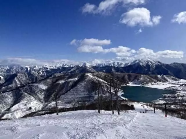 女游客日本滑雪身亡 疑吸入粉雪室息（日本滑雪运动员女） 第1张