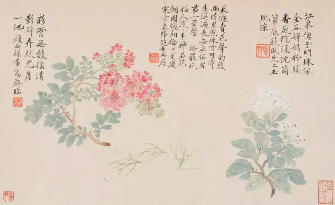 吴湖帆的爷爷，花卉画得如此好！亲爹给我起的名字，才上学3天就被同桌打了9回！女同学都躲着我