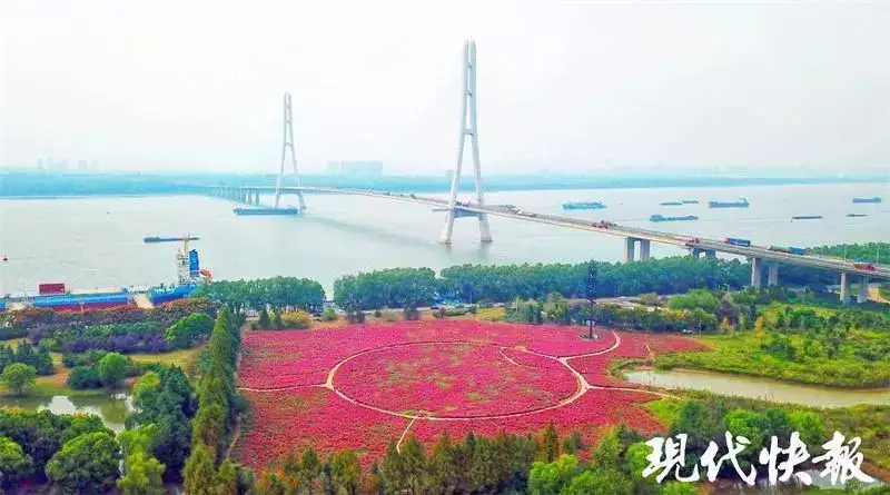 “粉色海洋”上线王亚平上天回来后，36岁高龄为丈夫生下一个女儿，拥有四项优待