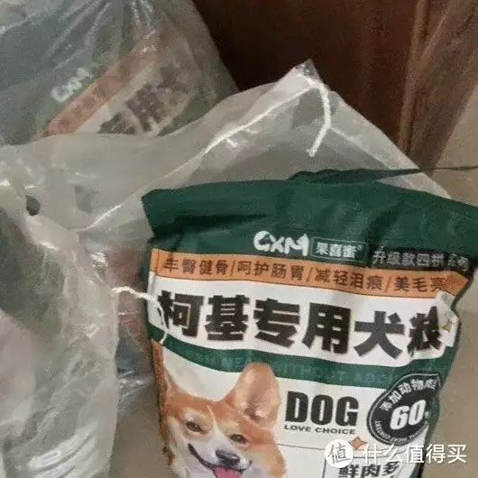 Frozen dried dog food helps you become pet expert broadcast articles