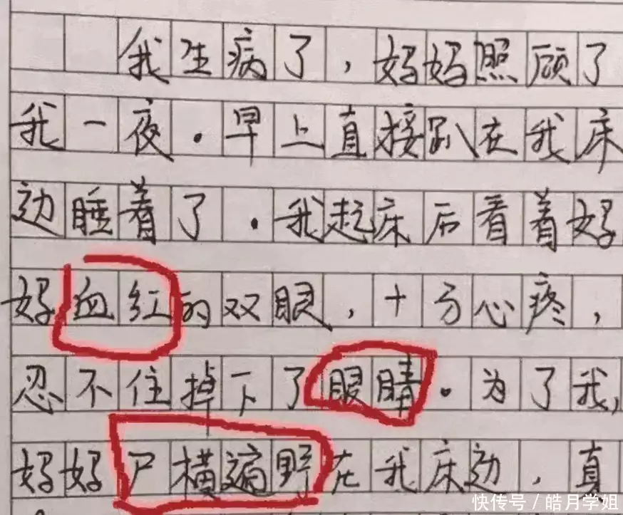 快来看（什么的我作文400字）什么的我作文400字免费 第3张