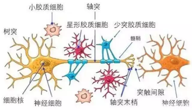 人死前3天灵魂已走（人临死前灵魂会到处跑吗） 第5张