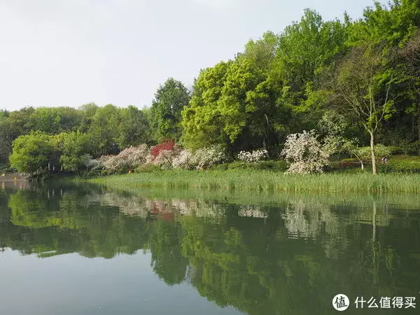 说走就走的一家三口杭州苏州六日游记（上：杭州篇）
