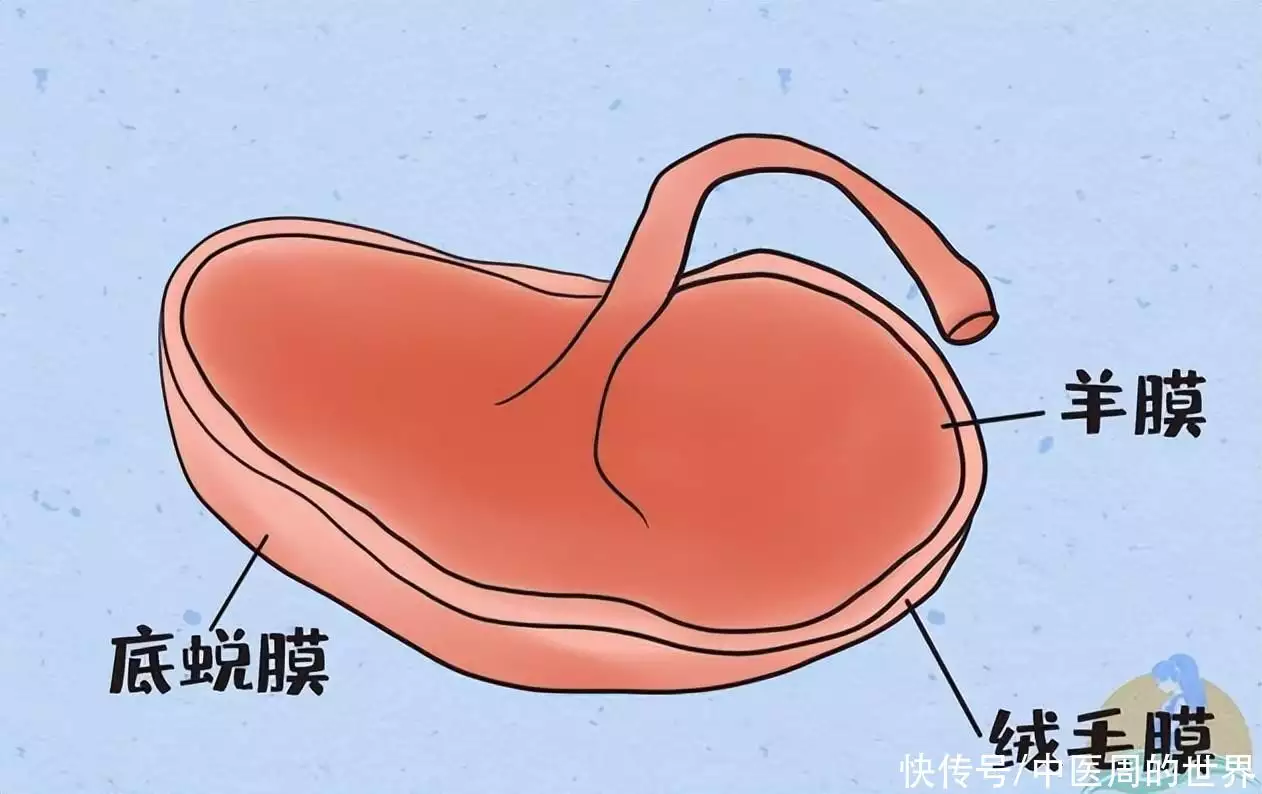 不看后悔（假的验孕棒药店能买到吗）假的验孕棒药店能买到吗 第7张