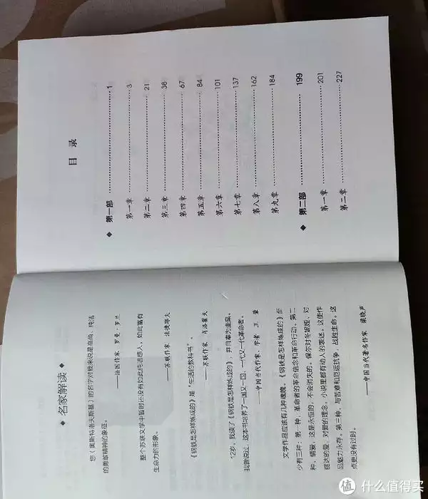 钢铁是怎样炼成的简介（钢铁是怎样炼成的简介120字） 第1张