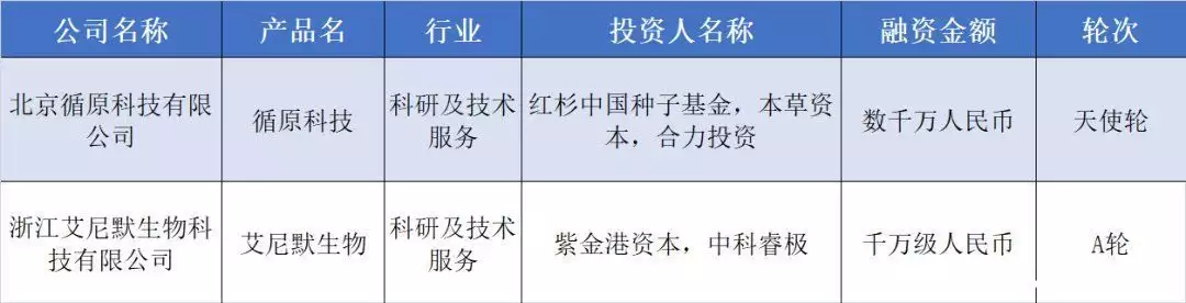 种子图片（种子图画手绘大全简单） 第8张