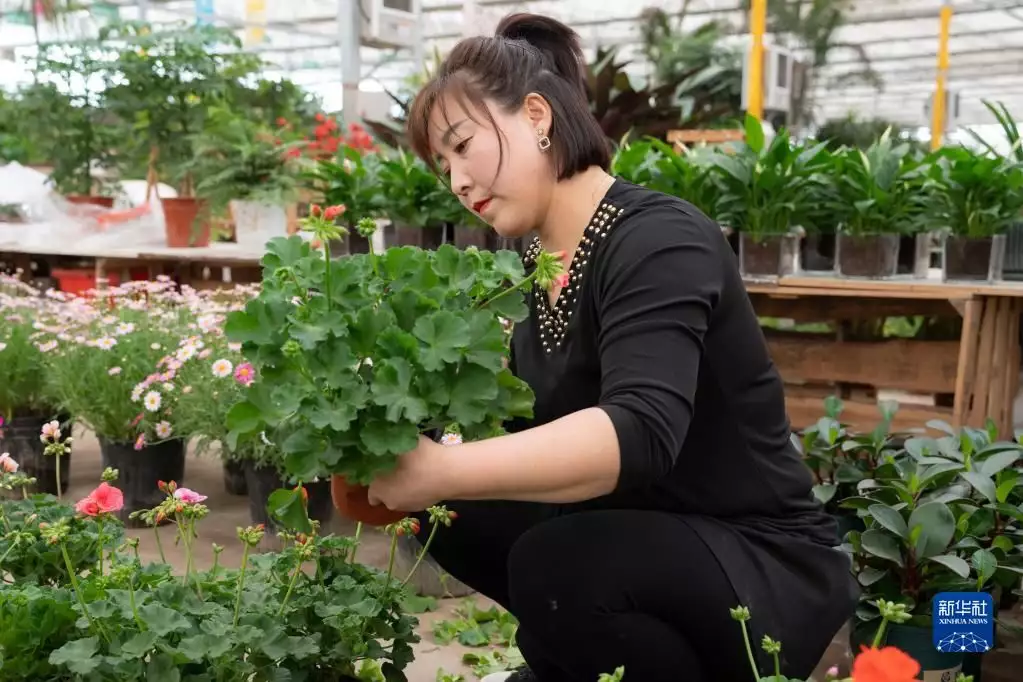 鲜花村网站（鲜花坊外卖平台怎么样）