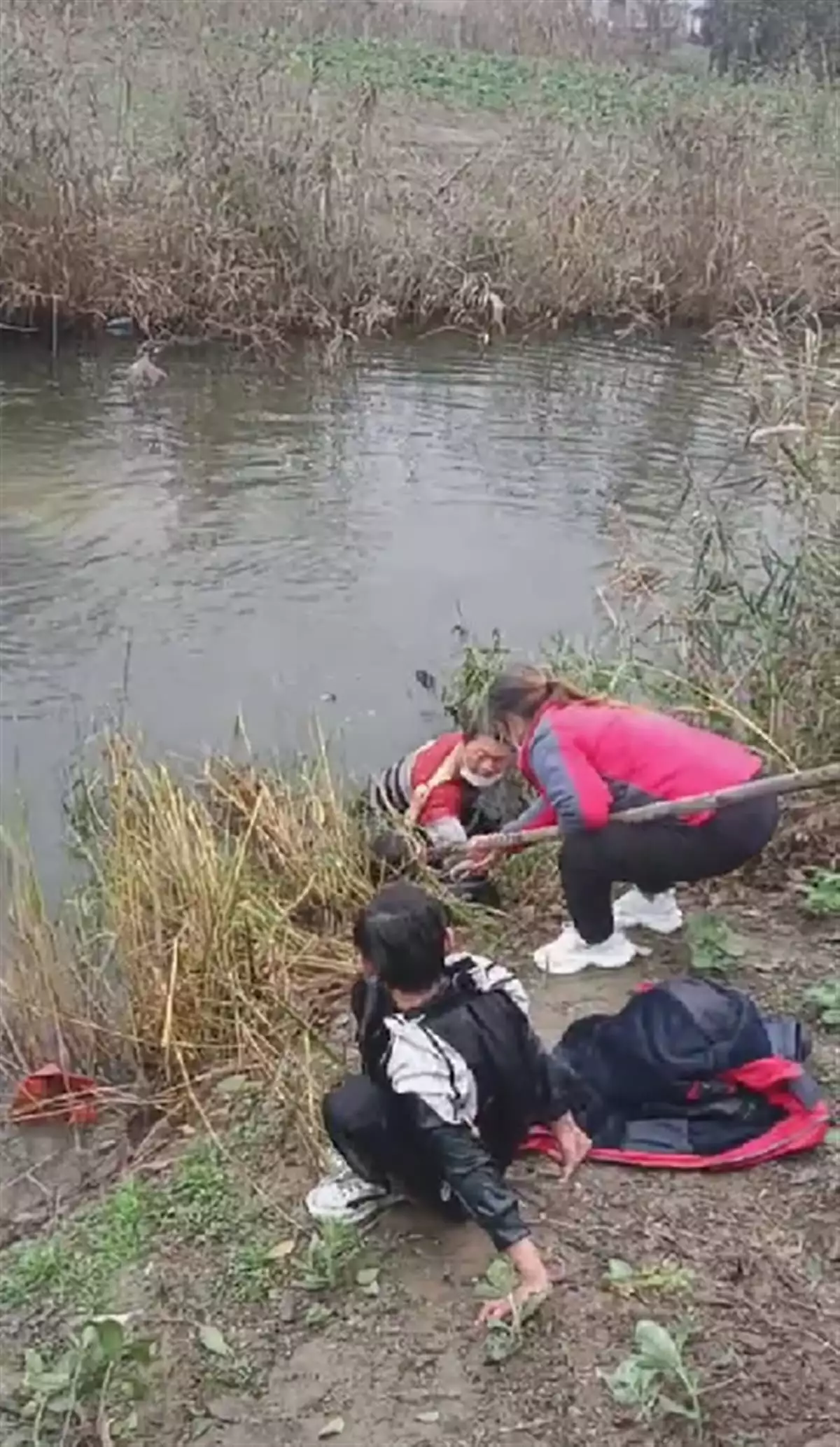 不看后悔（妻子骗丈夫说怀孕两个月）妻子怀孕丈夫被确认不孕症怎么办 第2张