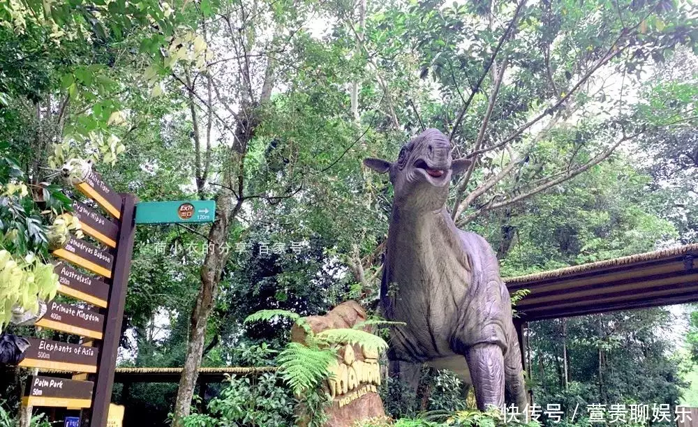上海野生动物园 动物_上海野生动物园电话_上海大自然野生昆虫馆电话