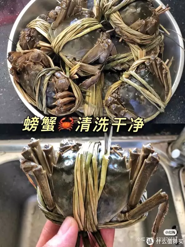 清蒸大闸蟹是什么地方的菜（清蒸大闸蟹是什么蟹种） 第4张