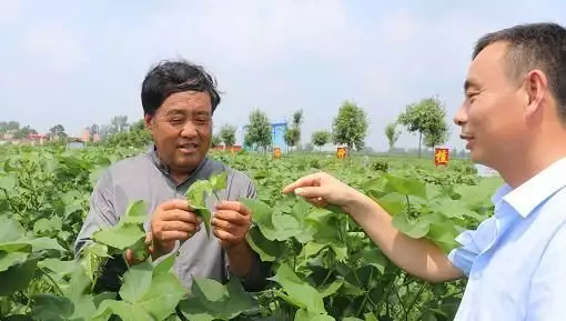 致富项目加工办厂_致富经项目_致富项目商机