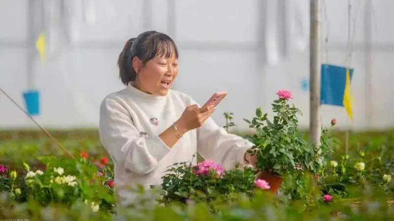 鲜花培训（东莞插花培训兴趣班、花艺培训周末班、插花培训夜班） 第3张