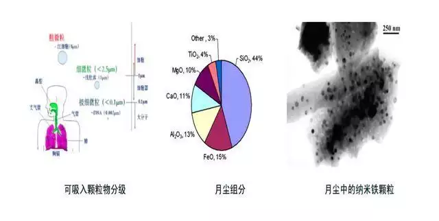 太空回来的真是本人吗（太空回来需要多久适应） 第11张