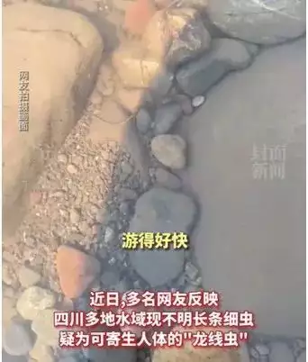 四川多地水域出现“龙线虫”？官方回应英国男子体重1016斤，救护车都上不去，医生直言：死后得去屠宰场