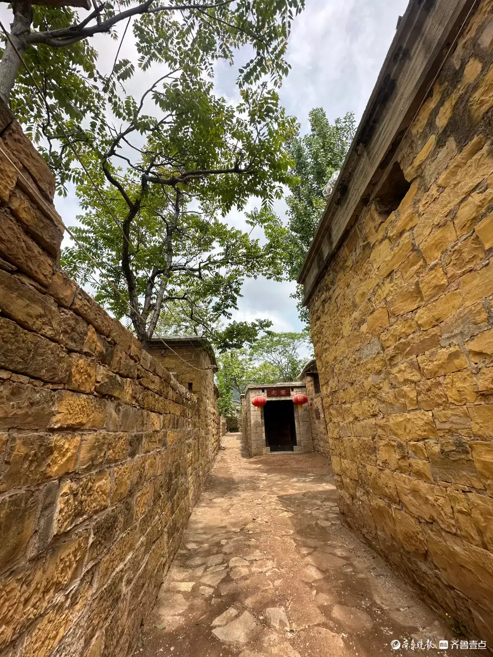 鲜花村网站（鲜花网下载） 第4张