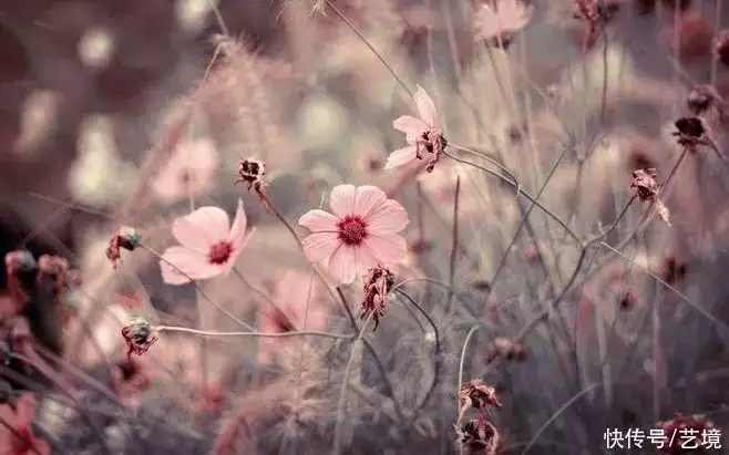 天下风物——《【抬头是方向，低头是清醒（深刻）】诗韵咏合》风光题照