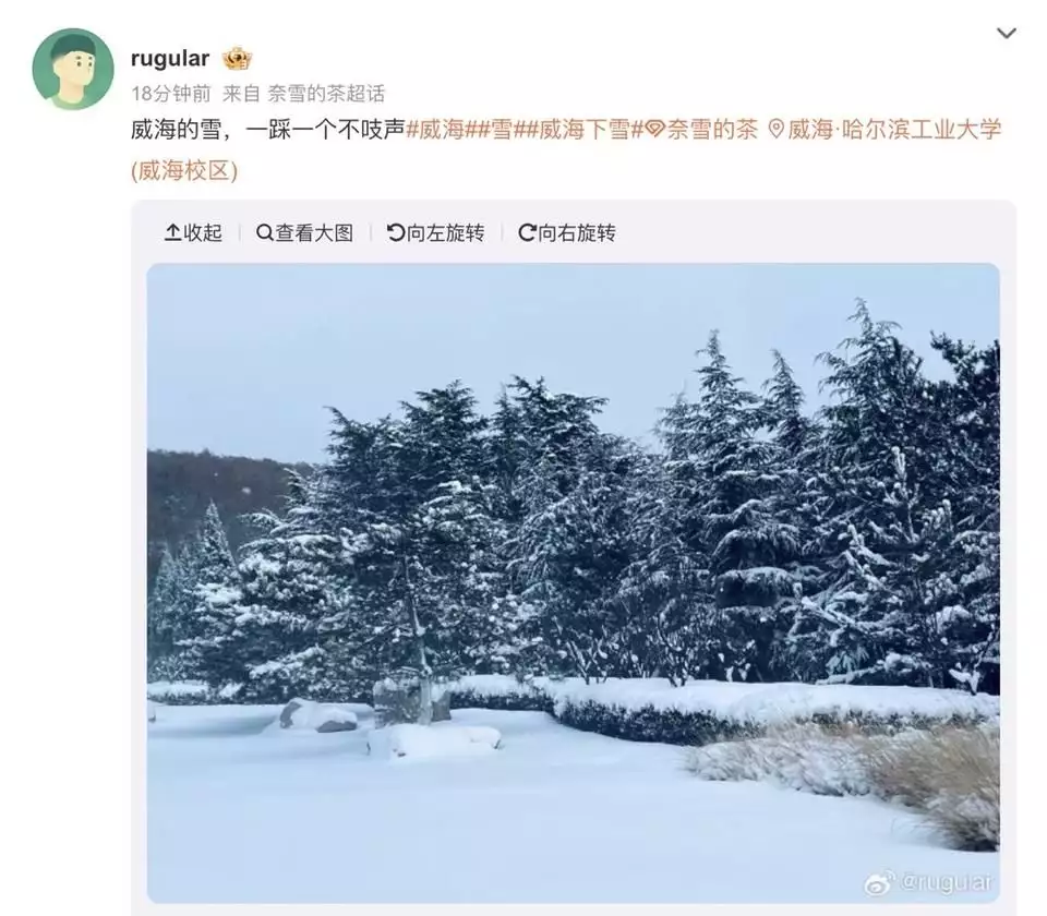 烟台的雪一脚踩进去能没到膝盖（雪踩上去的感觉是什么样子的） 第4张