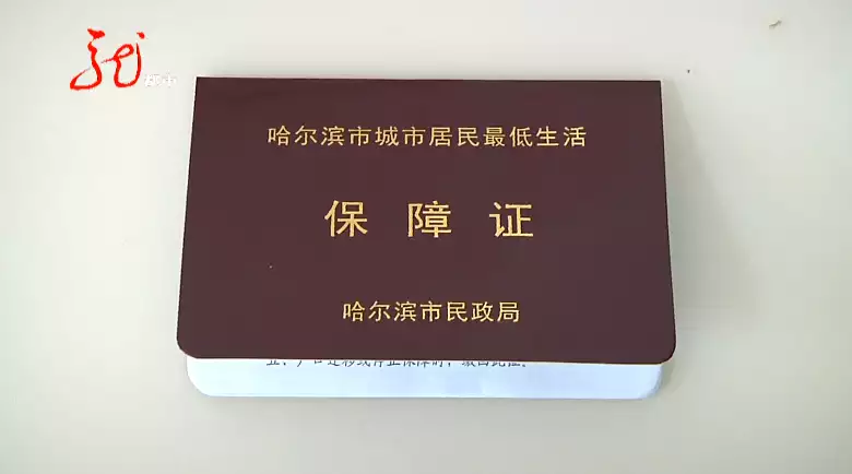 饺子申请非遗了吗（饺子是非物质文化遗产） 第2张