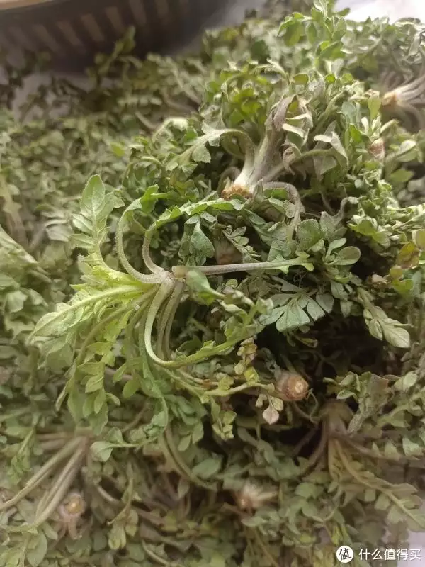 荠菜怎么做最好吃（荠菜是什么样子的） 第3张