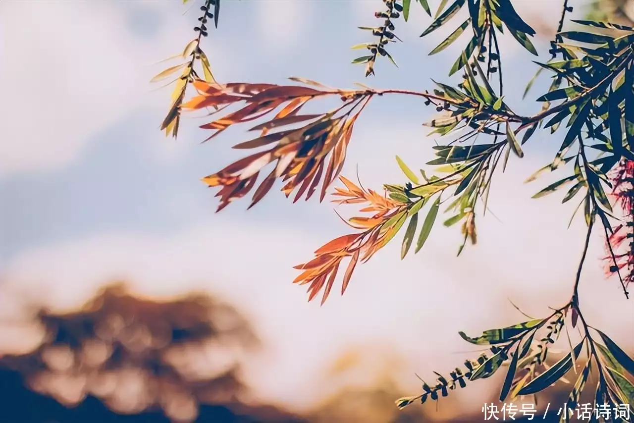 调张籍怎么读（调张籍中的调的意思是） 第2张