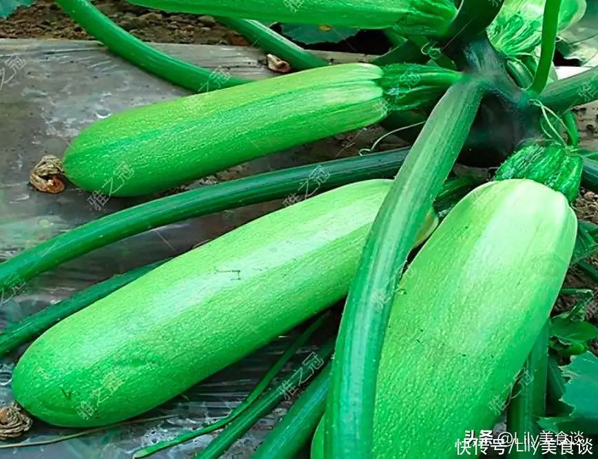 立夏吃什么（24节气的风俗及饮食） 第5张