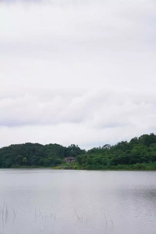 张志和西塞山前白鹭飞（渔歌子唐张志和西塞山前白鹭飞桃花流水鳜鱼肥）