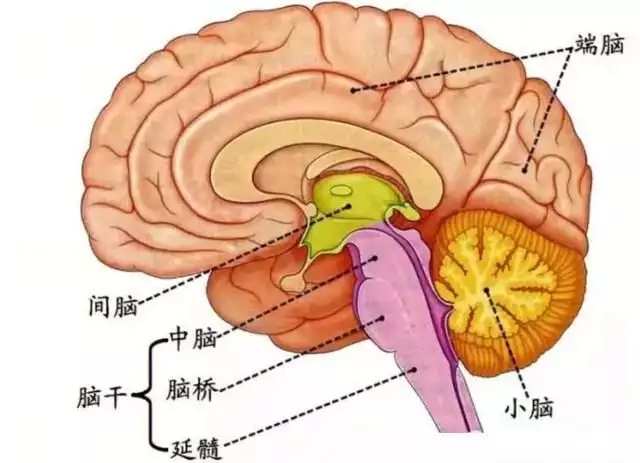 人死前3天灵魂已走（人临死前灵魂会到处跑吗） 第2张