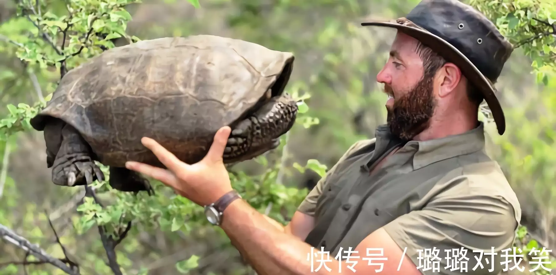 生物重现世间_生物世界是什么_生物世界指什么动物