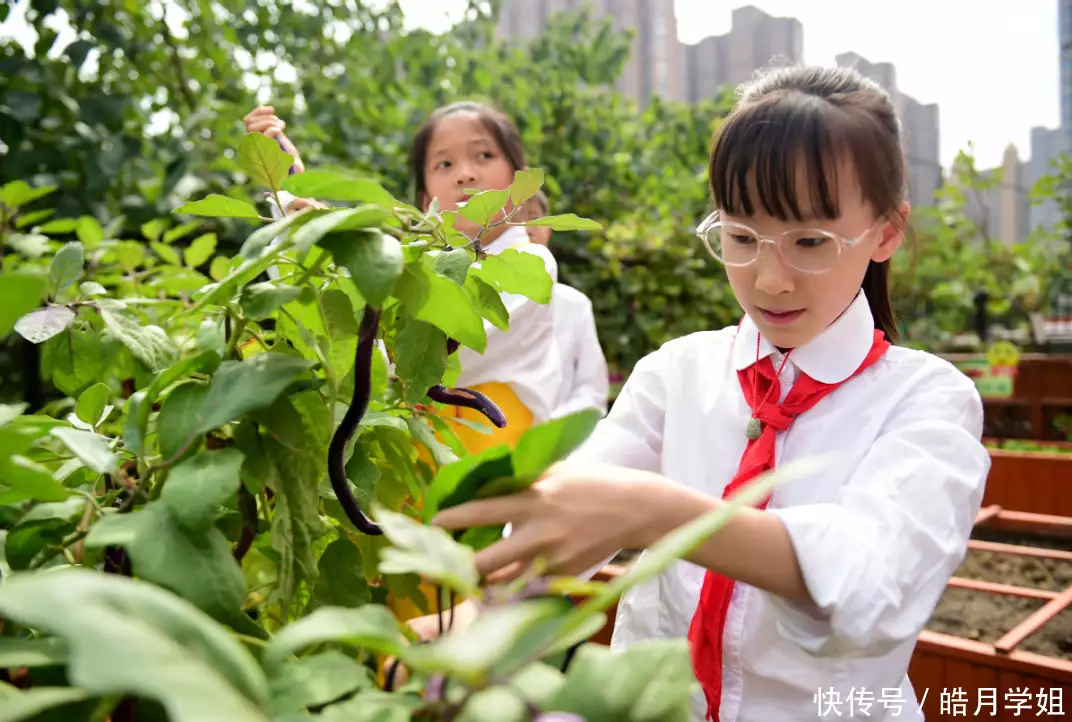 快来看（什么的我作文400字）什么的我作文400字免费 第7张