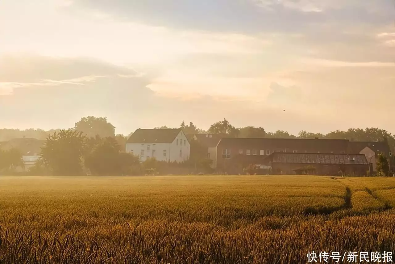男子猥亵殴打足浴店技师，还称“叔叔是市长”！警方通报央视“一姐”朱迅的消失，是整个主持界的悲哀和损失