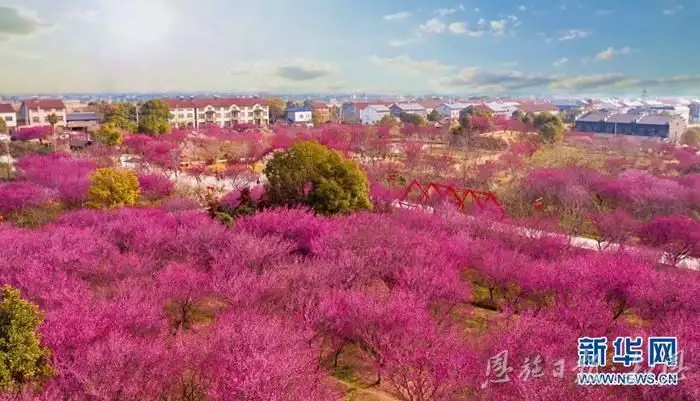 湖北历史文化_湖北历史文化名城_湖北历史