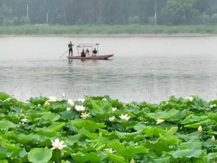 葺怎么读（葺怎么读组词） 第4张